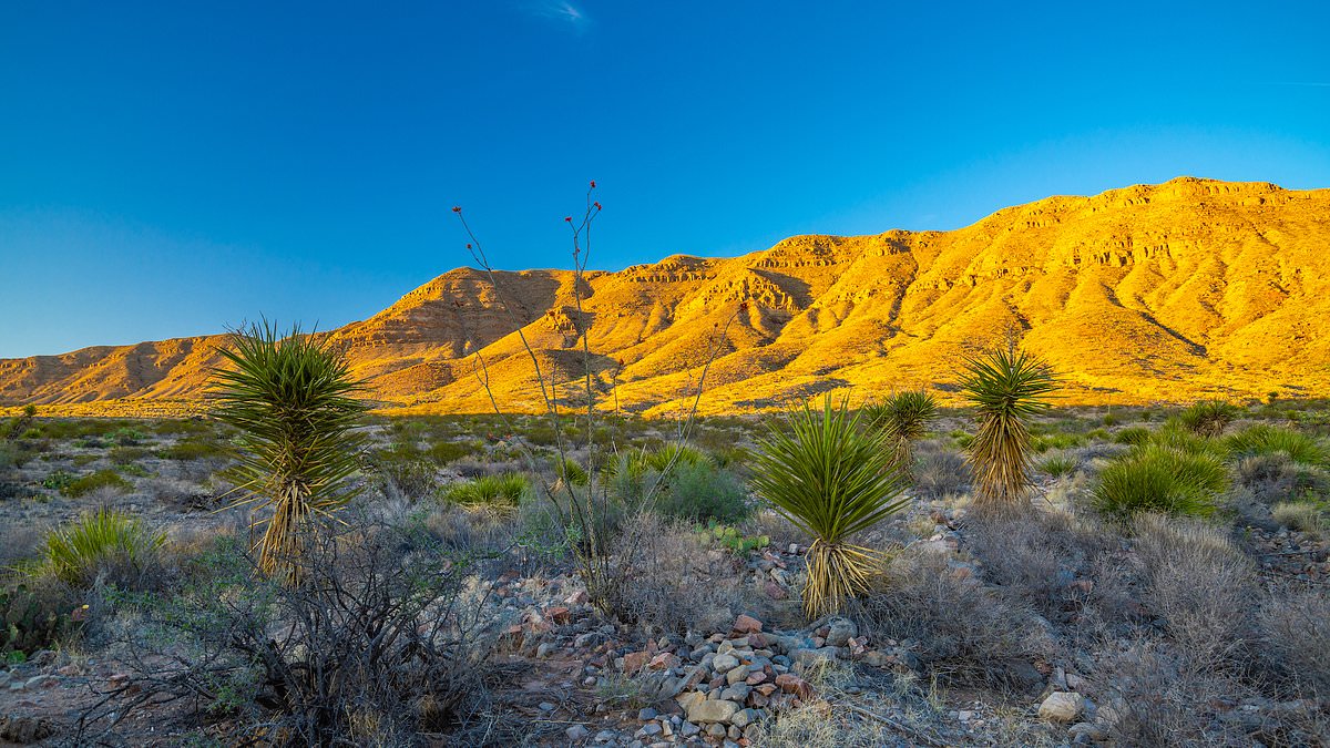 alert-–-enormous-texas-ranch-with-its-own-mountain-range-lists-for-$27m