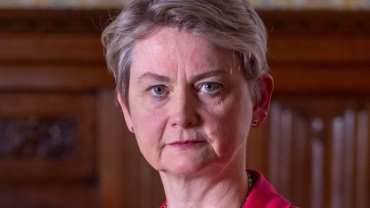 alert-–-so,-home-secretary,-have-you-had-clothes-paid-for-by-a-donor?-i-once-had-a-shawl-given-to-me-on-a-visit…-glen-owen-finds-out-why-yvette-cooper-isn’t-losing-her-head-over-‘wardrobegate’