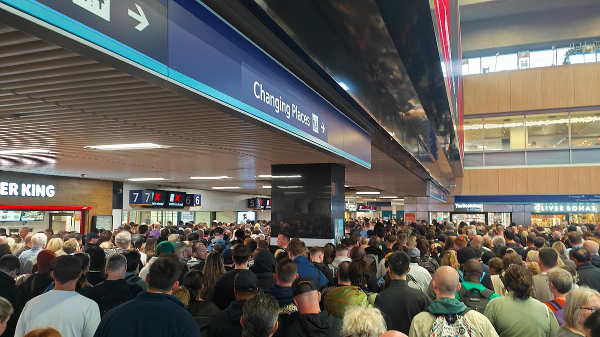 alert-–-train-passengers-brand-euston-station-‘like-squid-game-but-with-a-boots’-after-day-of-hellish-delays,-chaotic-queues-and-even-dripping-trains