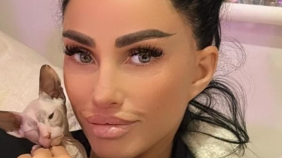 alert-–-katie-price-reveals-she’s-acquired-another-800-sphynx-kitten-called-daisy-despite-backlash-from-animal-charities-following-string-of-tragedies