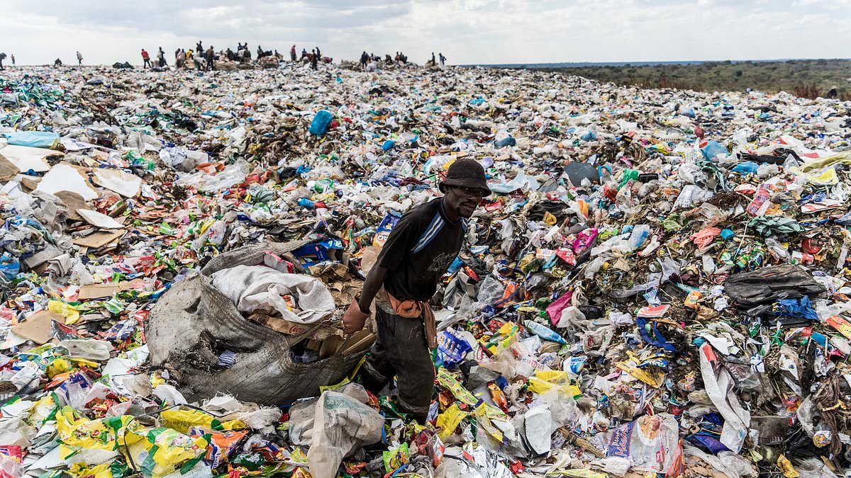 alert-–-plastic-bags-to-be-officially-banned-within-two-years-across-major-state