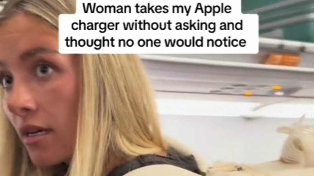 alert-–-shocking-moment-woman-brazenly-steals-fellow-passenger’s-apple-charger-on-flight