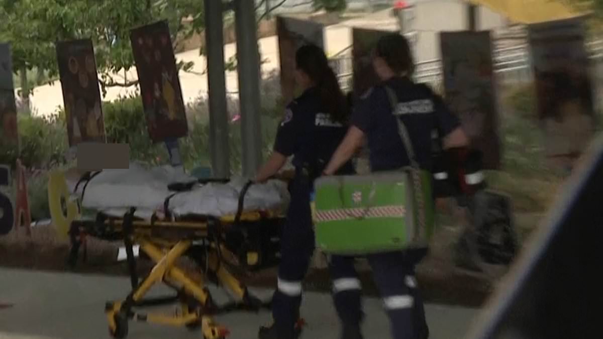 alert-–-primary-school-students-injured-in-horrifying-accident-at-oran-park