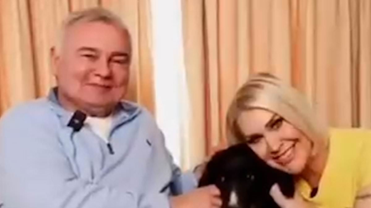 alert-–-eamonn-holmes-reveals-his-days-of-independence-have-come-to-an-end-as-he-pleads-his-followers-to-adopt-a-dog-in-an-emotional-video