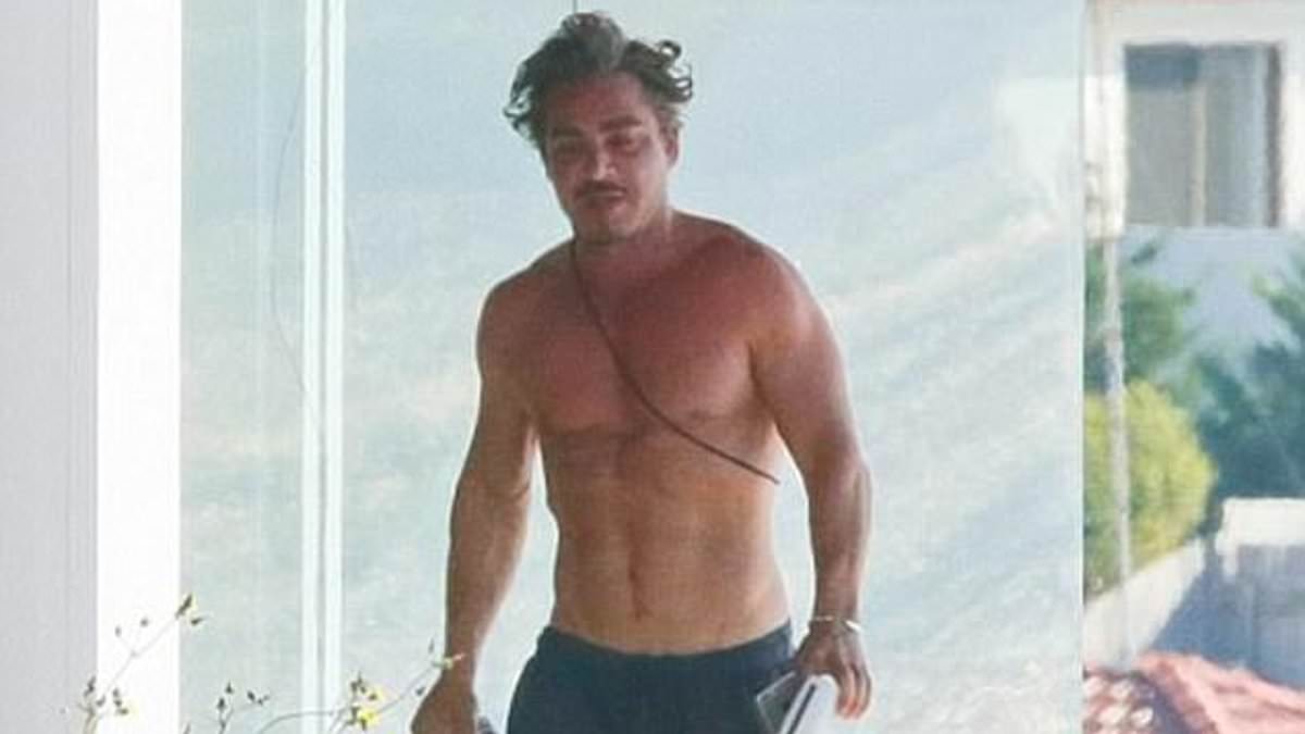 alert-–-john-ibrahim-identified-as-intended-target-in-alleged-assassination-attempt-at-dover-heights