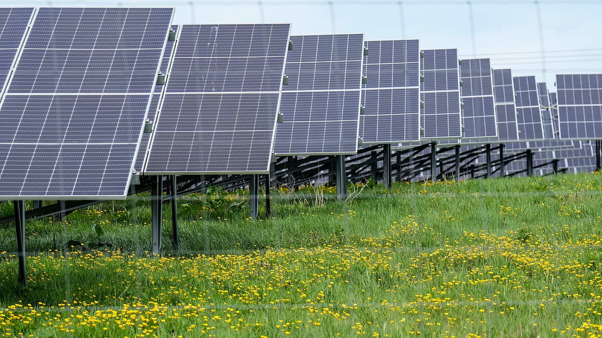 alert-–-‘deeply-disturbing’-plans-to-transform-idyllic-corner-of-england-into-the-uk’s-solar-farm-capital-will-be-fought-‘tooth-and-nail’-–-with-two-huge-installations-branded-an-‘eyesore’