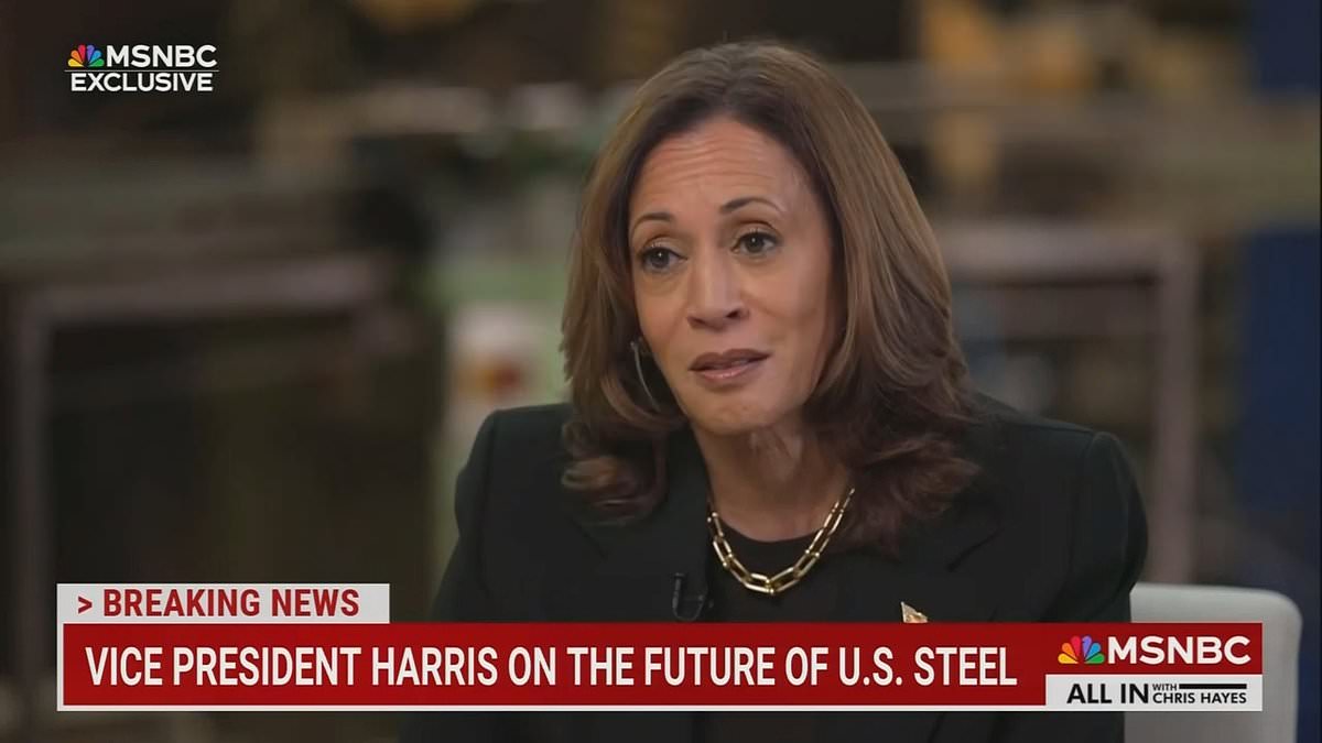 alert-–-kamala-harris-is-stumped-by-question-about-crucial-part-of-her-economic-policy-during-msnbc-interview