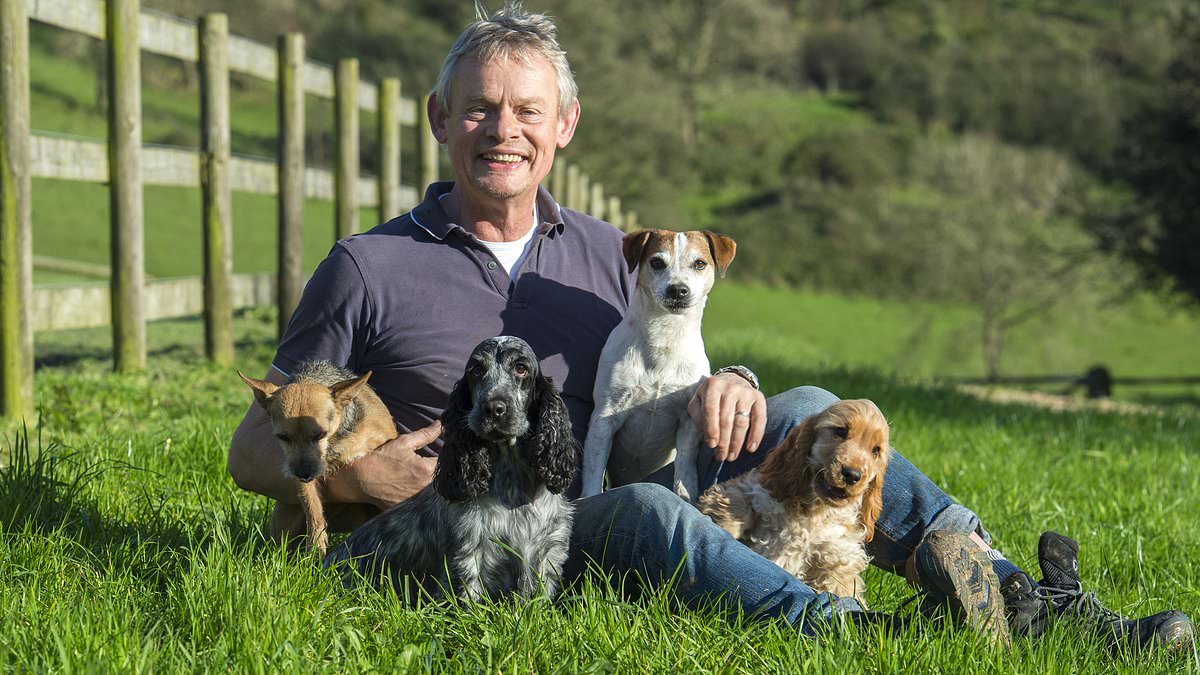 alert-–-not-what-doc-martin-ordered!-blow-to-martin-clunes-in-his-battle-to-stop-traveller-site-near-his-5m-dorset-farm