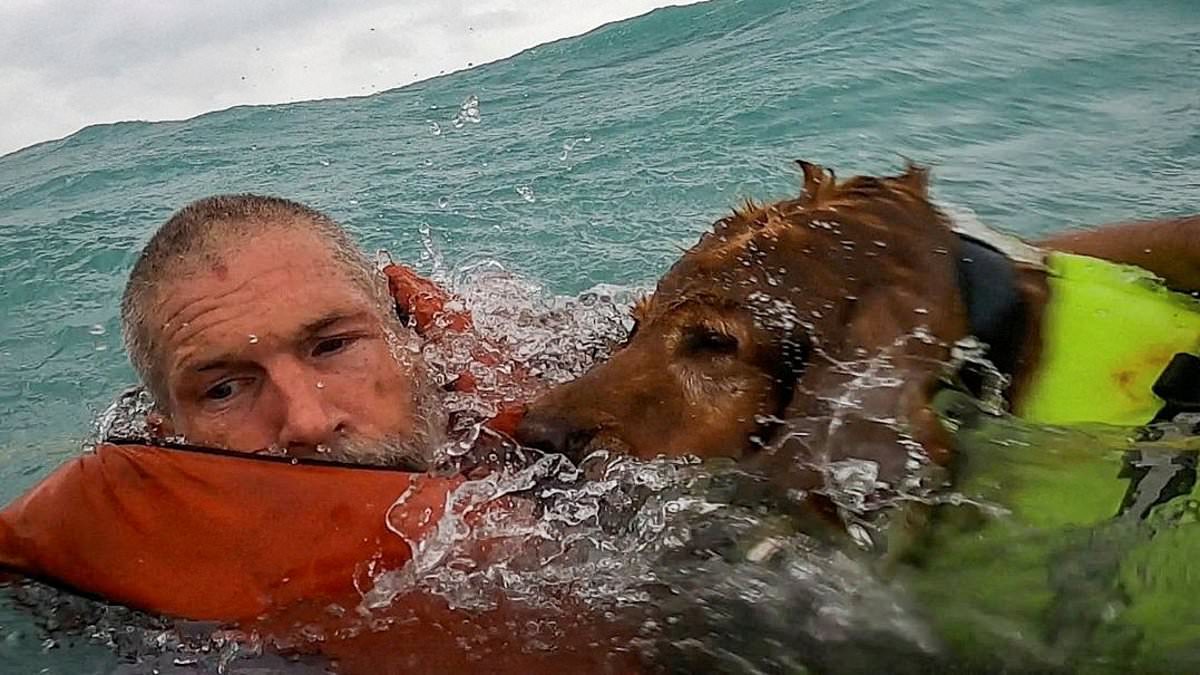 alert-–-moment-sailor-and-his-dog-are-rescued-20-miles-off-florida-coast-after-their-boat-sank-in-hurricane-helene