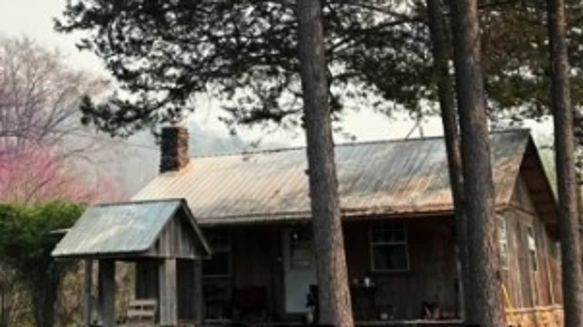 alert-–-enterprising-young-couple-buy-adorable-fixer-upper-cabin-situated-in-10-acres-of-peaceful-national-forest-for-very-reasonable-price