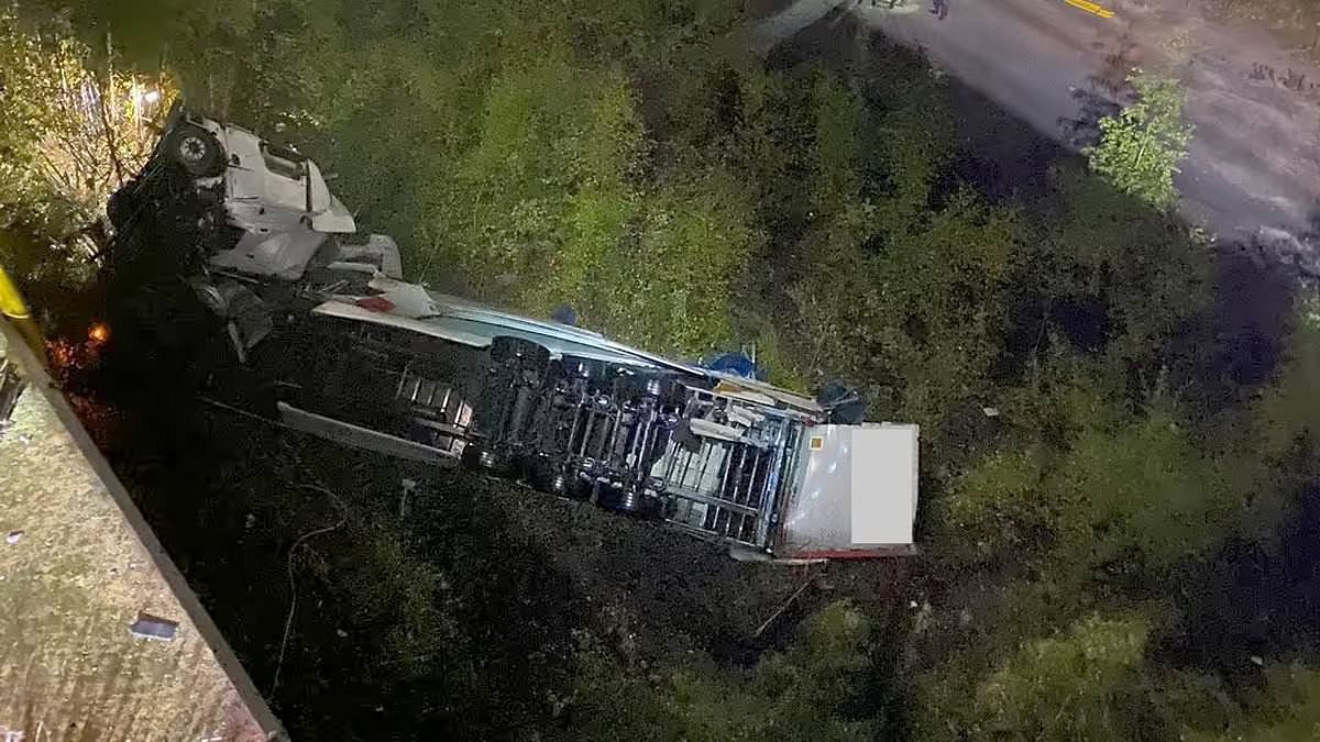 alert-–-shocking-photos-show-crumpled-lorry-after-it-plunged-off-the-thelwall-viaduct:-smash-causes-major-travel-delays-on-the-m6