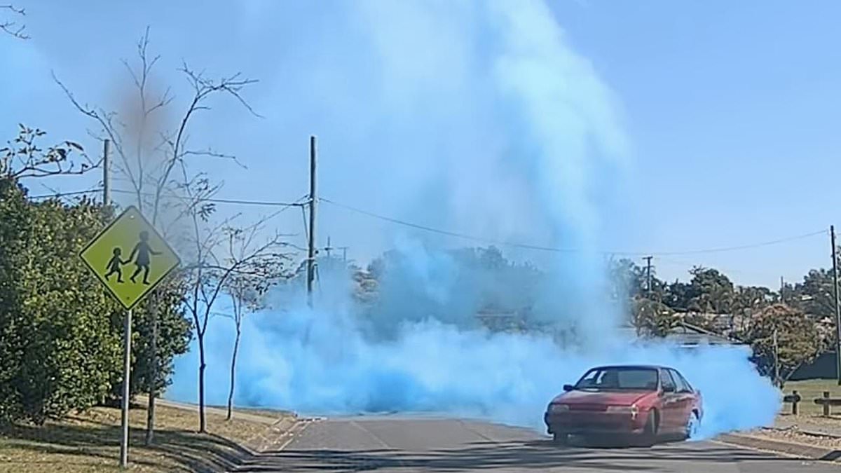 alert-–-gender-reveal-burnout-costs-australian-dad-$1100-fine-and-his-ride