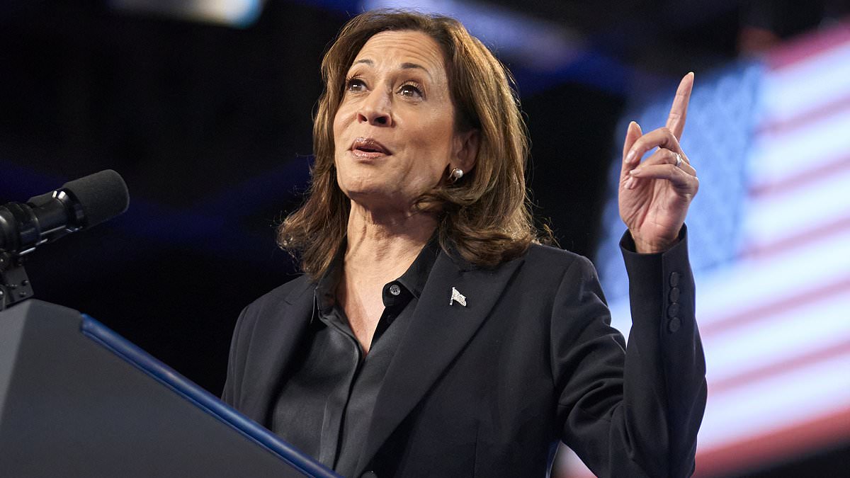 alert-–-the-major-crack-in-kamala’s-blue-wall?-why-democrats-in-sleepy-town-are-terrified-of-radical-outsider-who-could-catapult-trump-into-the-white-house