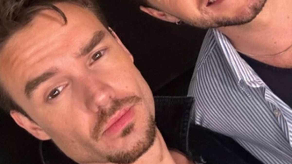 alert-–-liam-payne-reunites-with-his-former-one-direction-bandmate-niall-horan-as-he-attends-his-concert-in-argentina-with-girlfriend-kate-cassidy