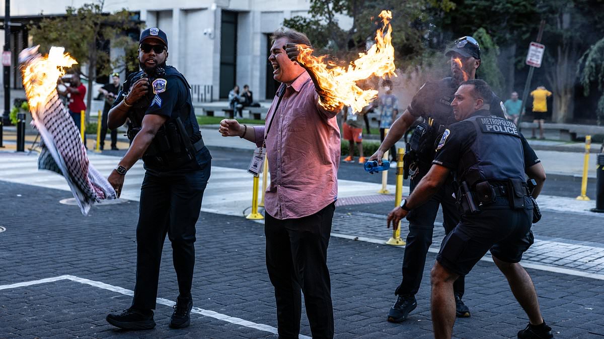 alert-–-horrifying-moment-protestor-self-immolates-outside-white-house