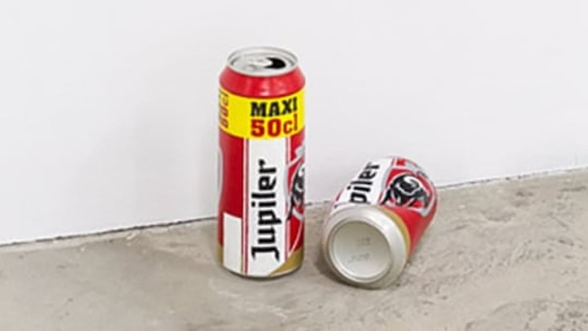 alert-–-museum’s-art-exhibit-that-resembles-two-empty-beer-cans-thrown-in-trash-by-staff-member