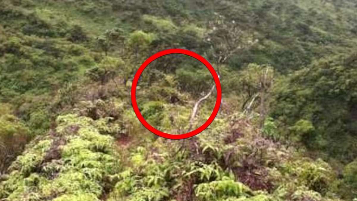 alert-–-eerie-shadow-man-in-missing-teen-hiker’s-final-photo-could-be-key-to-solving-mystery