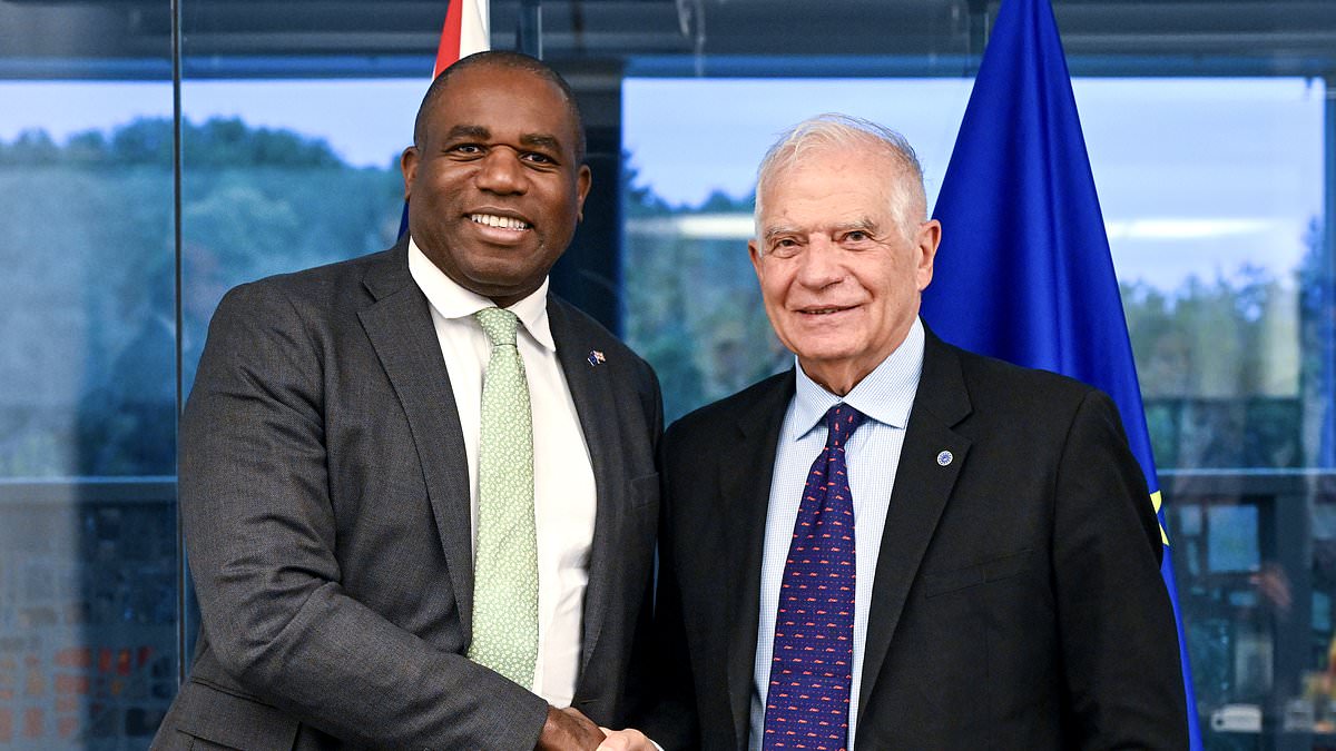 alert-–-‘we’re-back-at-the-table’:-labour’s-brexit-‘reset’-gathers-pace-as-david-lammy-attends-summit-of-eu-foreign-ministers-today