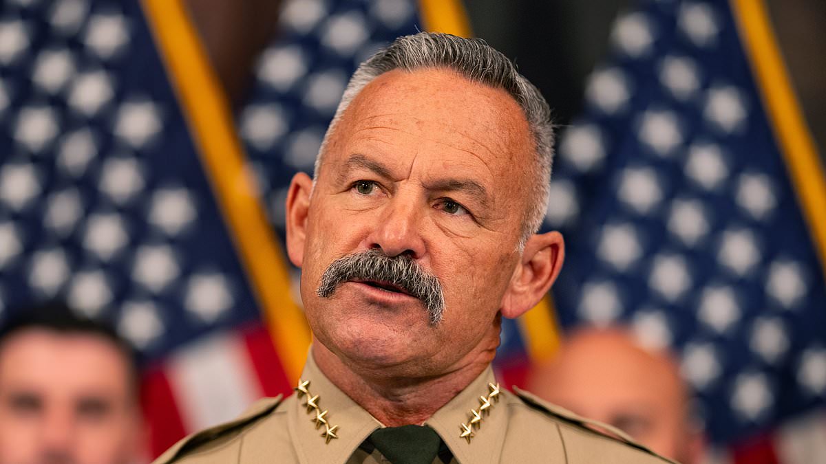 alert-–-sheriff-doubles-down-on-vem-miller-‘red-flags’-after-maga-‘lunatic’-is-arrested-at-trump-rally-with-loaded-gun