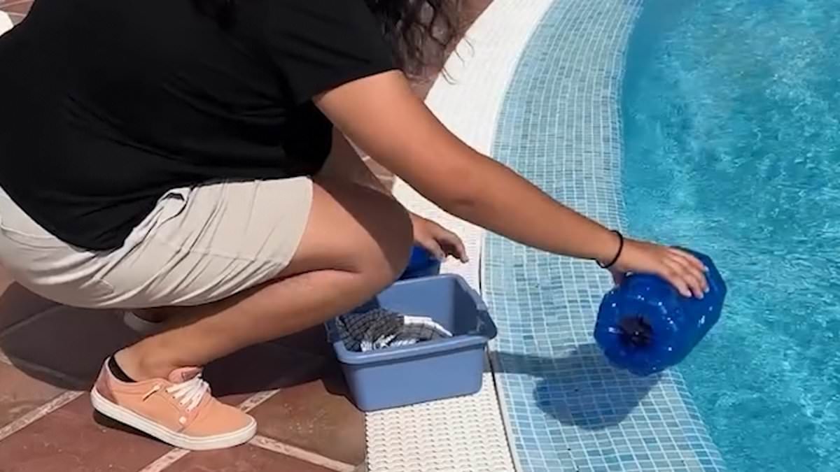 alert-–-moment-anti-tourist-protesters-storm-spanish-hotel-and-start-washing-dish-cloths-in-the-pool-in-row-over-water-consumption-as-holidaymakers-watch-on-from-their-sunloungers