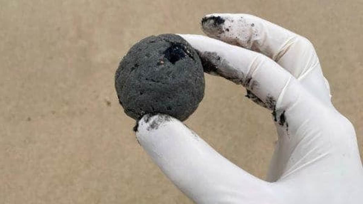 alert-–-mysterious-black-balls-that-washed-up-on-one-of-australia’s-most-iconic-beaches-are-finally-identified