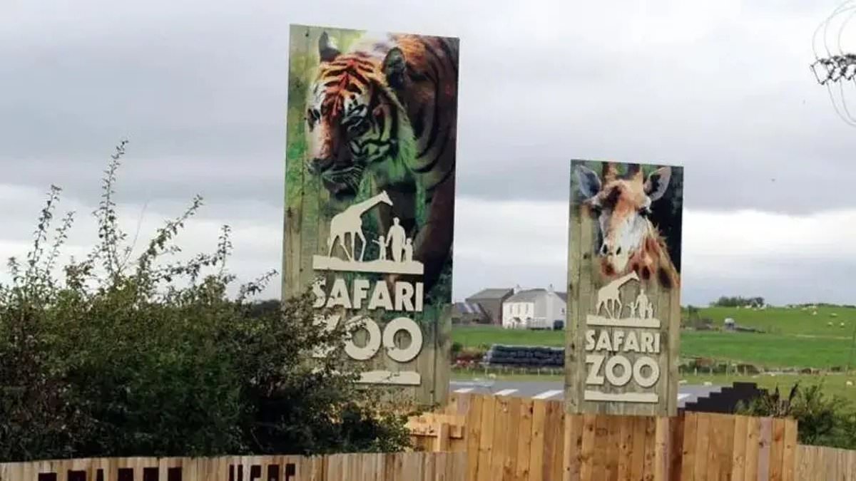 alert-–-harrowing-images-reveal-scale-of-alleged-animal-abuse-at-britain’s-‘worst-zoo’-where-500-animals-died-and-keeper-was-mauled-to-death