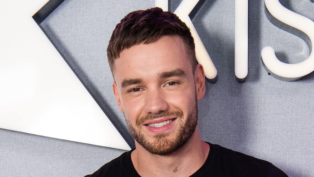 alert-–-how-liam-payne’s-aussie-fans-proved-they-were-the-most-crazed-with-a-very-naughty-act-while-he-was-last-down-under-as-they-recall-wild-stories-after-his-tragic-death