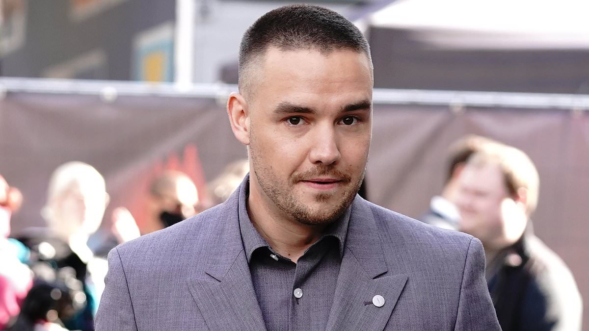 alert-–-from-winning-over-the-hearts-of-the-nation-on-x-factor-to-hiding-from-the-public-eye-as-his-health-deteriorated: -liam-payne’s-pals-open-up-about-his-sudden-death