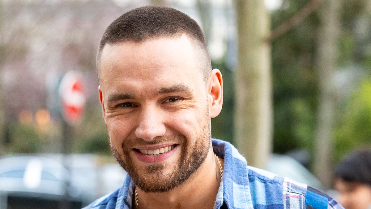 alert-–-liam-payne’s-cause-of-death-revealed-after-tragic-plunge:-one-direction-star-had-a-fractured-skull-after-he-fell-from-third-floor-hotel-balcony-in-buenos-aires-while-‘off-his-head-on-drugs’