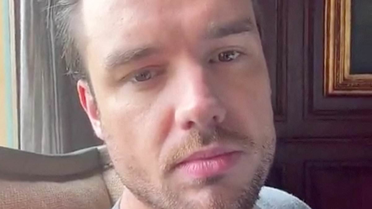 alert-–-liam-payne’s-final-days:-his-social-media-videos-show-star-telling-fans-his-girlfriend-is-leaving-argentina-in-chaotic-last-days-after-his-ex-fiancee-sent-him-cease-and-desist-letters