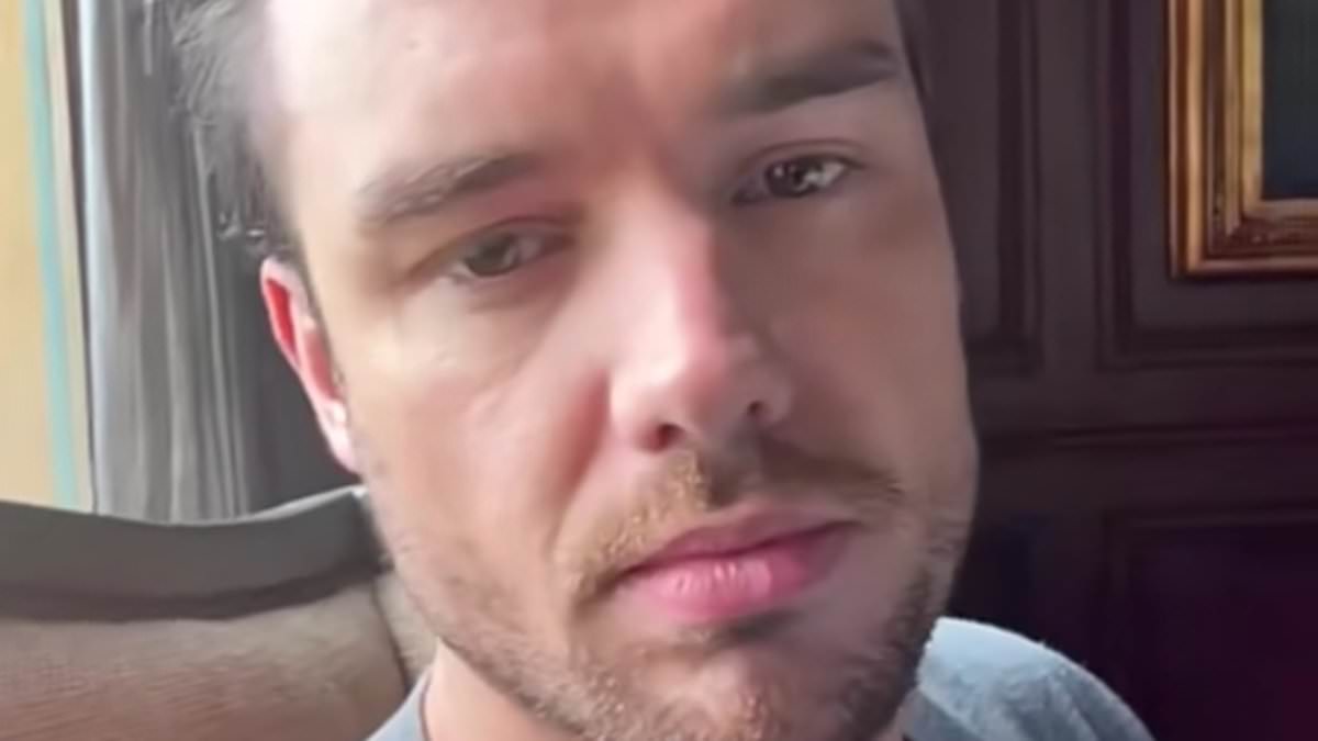 alert-–-was-liam-payne’s-balcony-dangerous?-hotel-staff-were-‘worried-that-railing-was-easy-to-fall-over’-before-star-plunged-to-his-death-with-a-lighter,-a-whisky-bottle-and-his-phone-in-his-hands