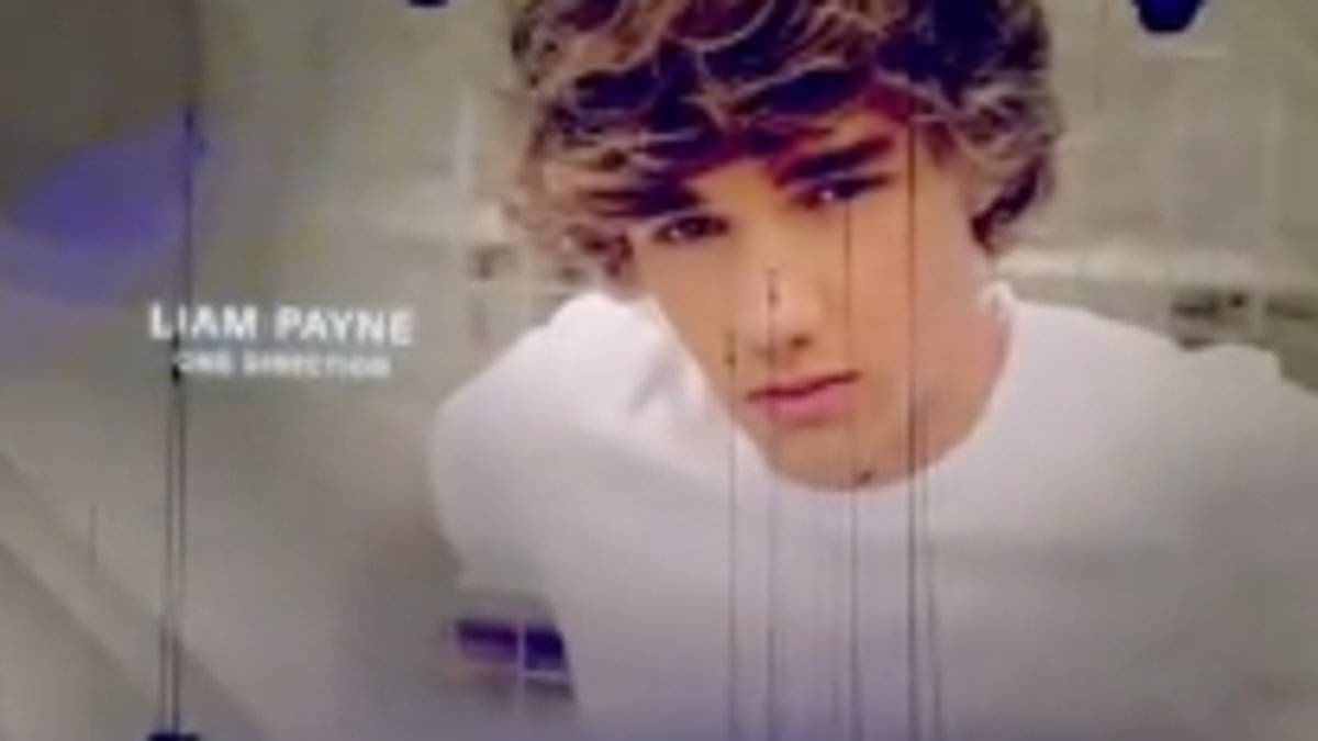 alert-–-liam-payne-is-honoured-in-memoriam-at-the-rock-&-roll-hall-of-fame-inductees-ceremony-–-fours-days-after-falling-to-his-death-from-a-hotel-balcony-in-buenos-aires