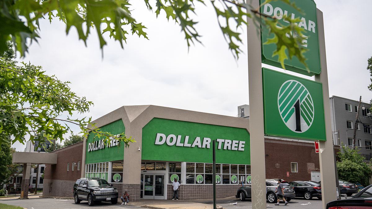 alert-–-dollar-tree-shoppers-race-to-buy-baking-essential-sold-43-percent-cheaper-than-at-walmart