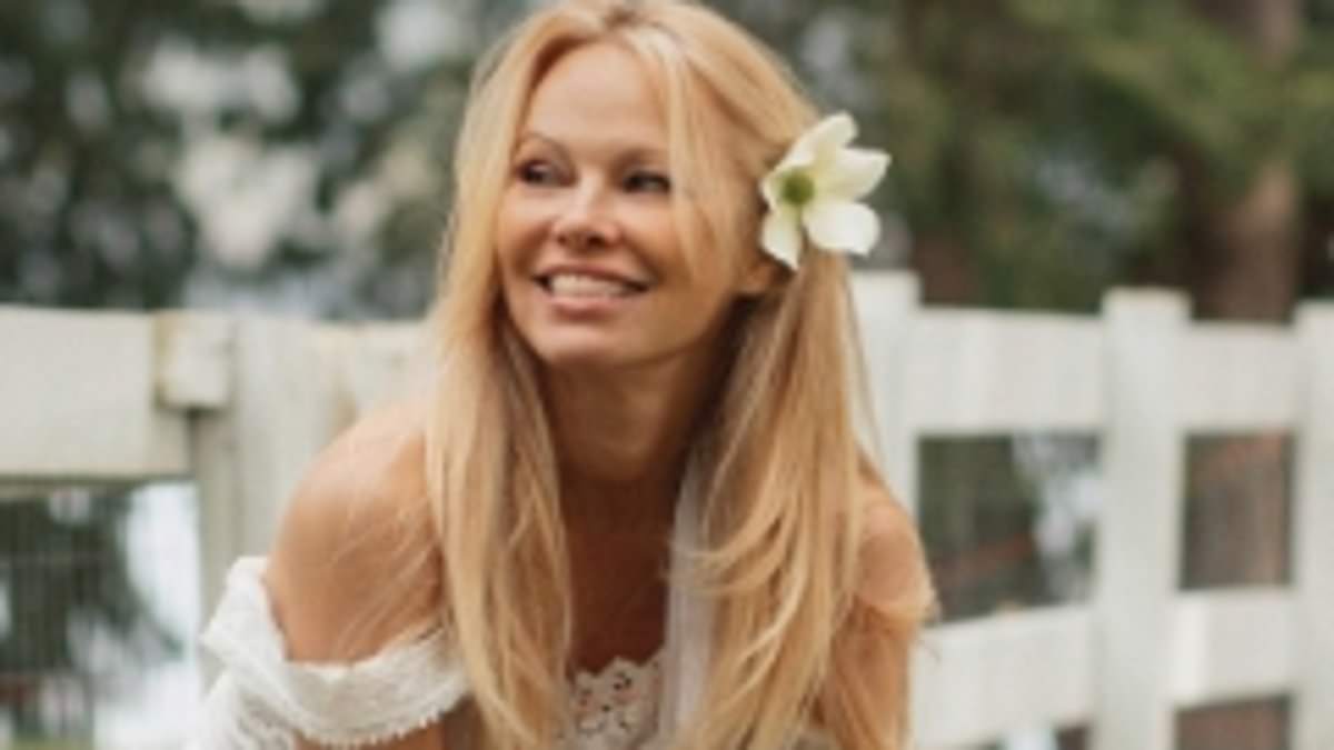 alert-–-pamela-anderson,-57,-reveals-why-she-left-the-glamour-of-hollywood-to-live-on-a-remote-island-in-canada