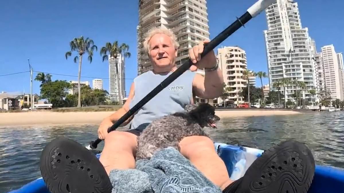 alert-–-dog-owner-is-slapped-with-$806-fine-after-making-little-known-mistake-on-a-gold-coast-beach