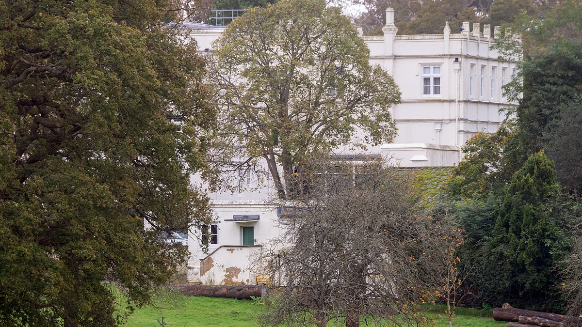 alert-–-prince-andrew’s-crumbling-mansion-is-revealed:-duke’s-30-room-royal-lodge-falls-into-disrepair-with-cracks-and-mould-seen-in-shock-photos-–-after-king-axed-his-brother’s-1m-allowance