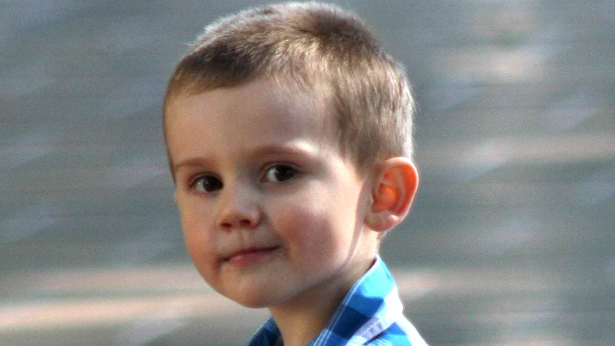 alert-–-bombshell-revelation-after-search-for-william-tyrrell-who-vanished-without-a-trace-10-years-ago