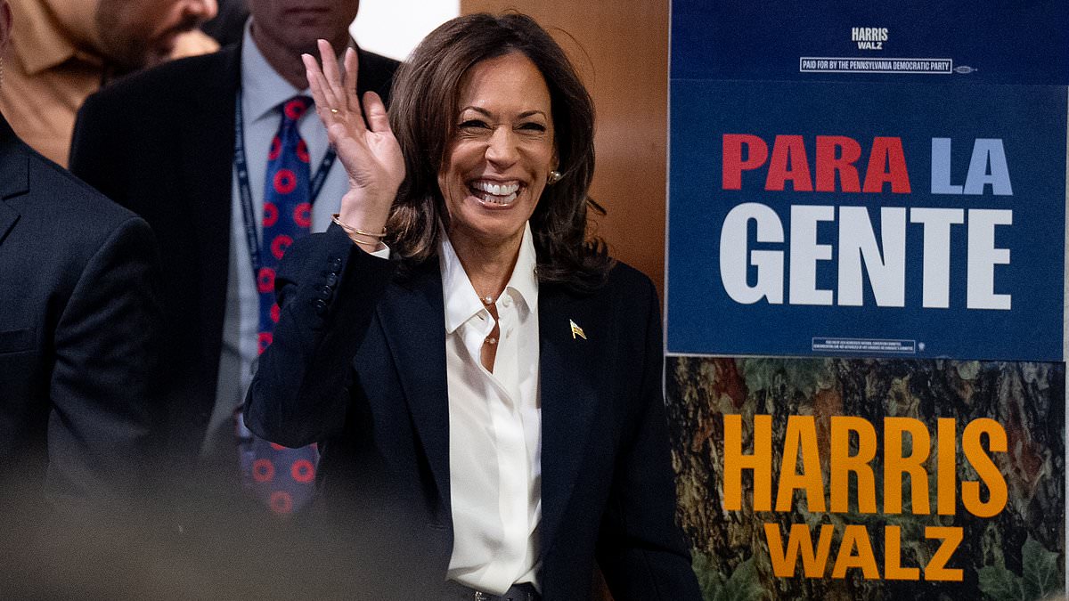 alert-–-swing-state-voter-reveals-mistake-kamala-made-that-drove-him-to-vote-for-trump