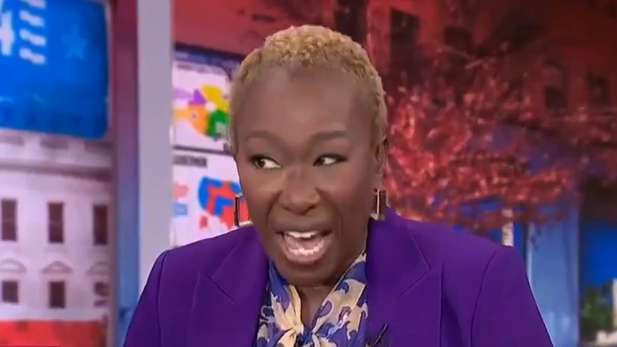 alert-–-msnbc’s-joy-reid-melts-down-live-on-air-after-trump-wins-florida-in-2024-election