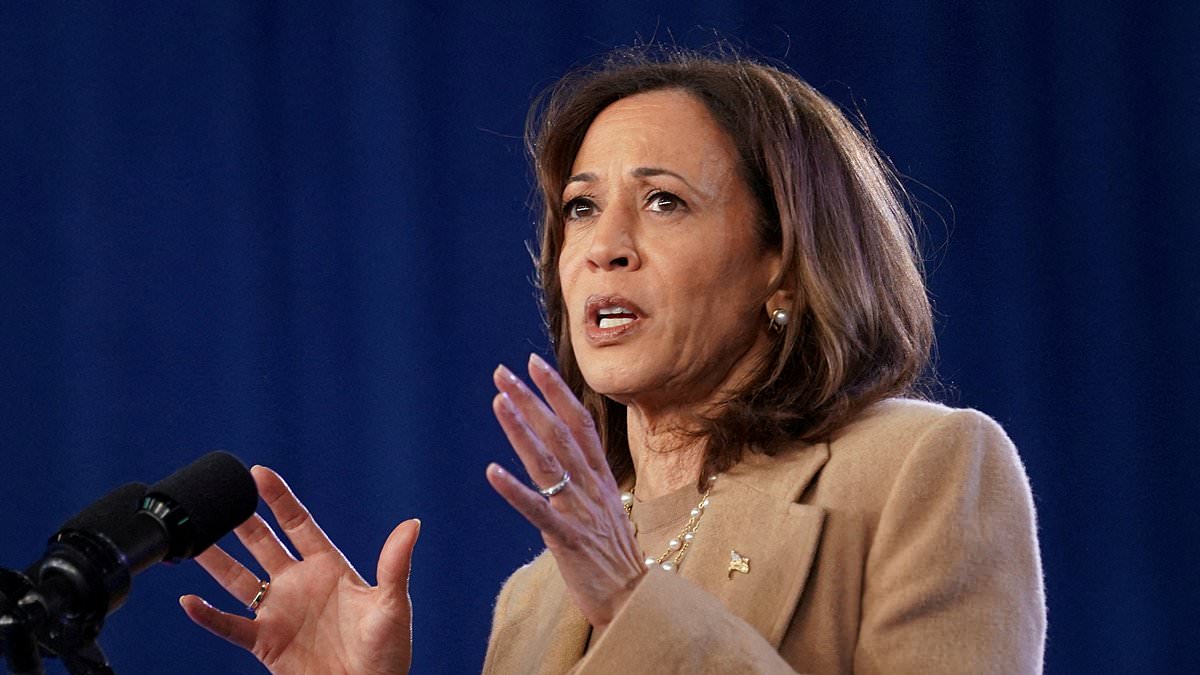 alert-–-sore-loser-kamala-still-hasn’t-admitted-she-lost-as-world-waits-for-concession-speech-and-biden-stays-silent