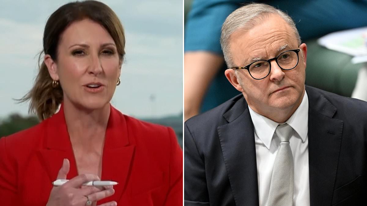 alert-–-nat-barr-exposes-why-anthony-albanese-might-need-to-apologise-to-donald-trump