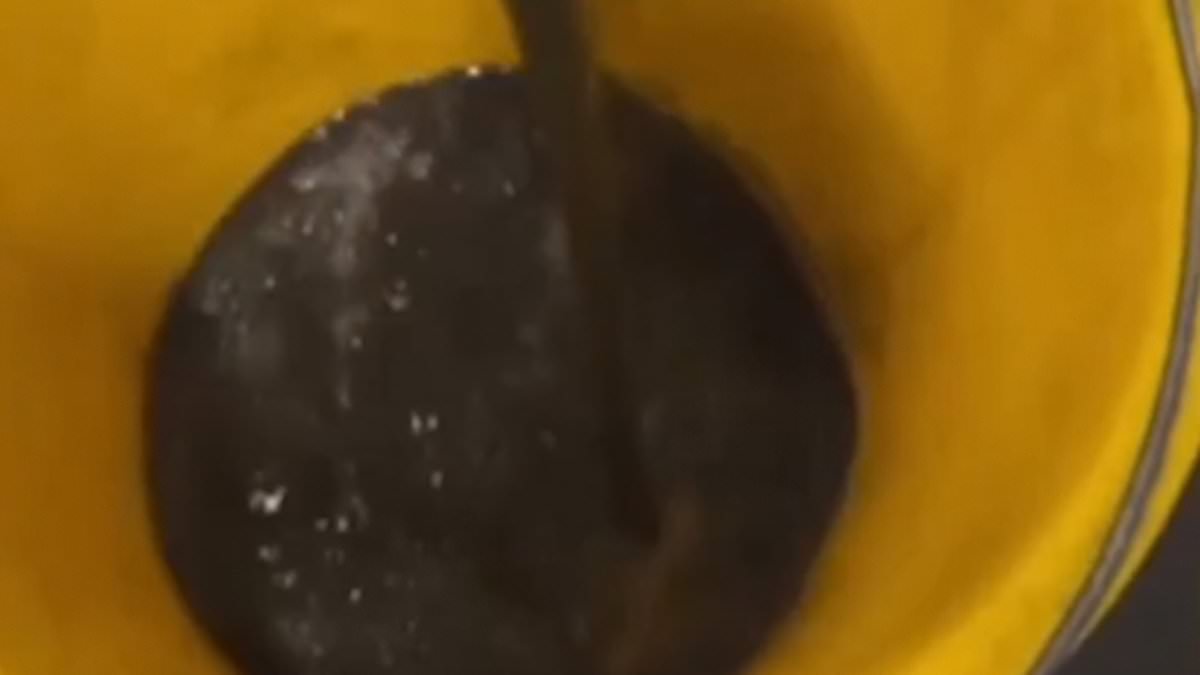 alert-–-have-you-ever-sat-down-on-the-tube?-shocking-video-shows-bucket-of-black-filth-that-cleaner-extracted-from-just-four-seats-on-london-underground-train