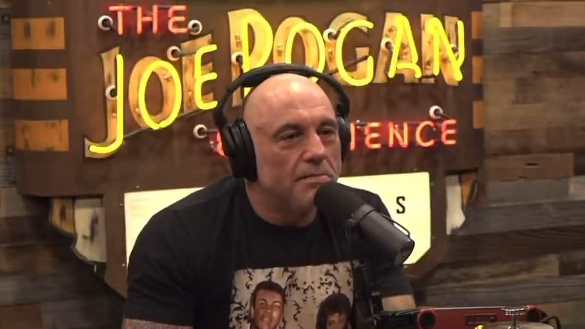 alert-–-joe-rogan-warned-president-elect-donald-trump-not-to-attack-his-haters-on-the-left:-‘let-them-all-talk-their-s—‘