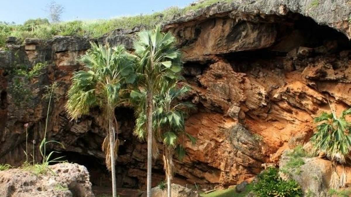 alert-–-fury-as-stunning-limestone-cave-is-forced-to-shut-to-tourists-after-billionaire-landowner’s-shock-move