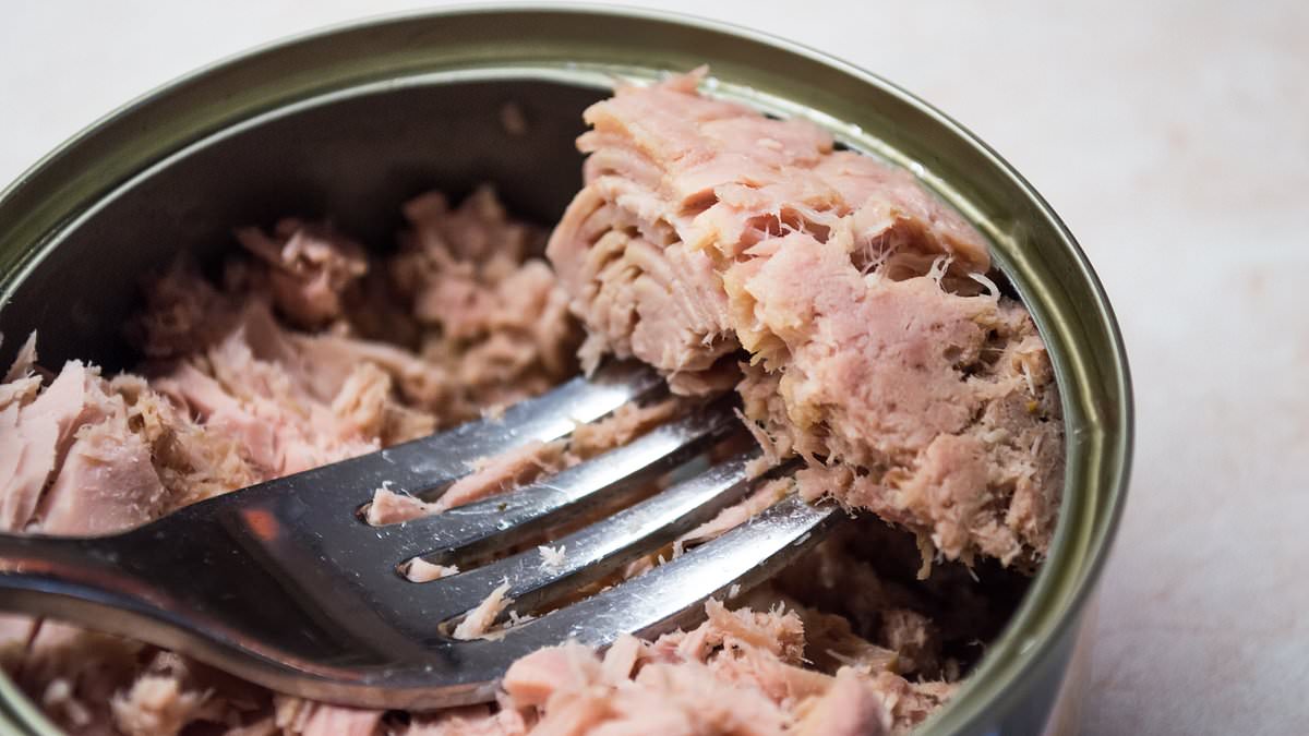 alert-–-now-ban-tinned-tuna,-activists-demand-–-as-toxic-levels-of-mercury-are-detected-in-store-cupboard-favourite