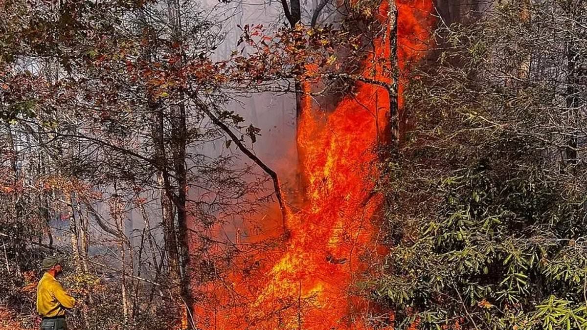 alert-–-red-flag-warning-issued-in-several-east-coast-states-‘for-critical-fire-weather-conditions’