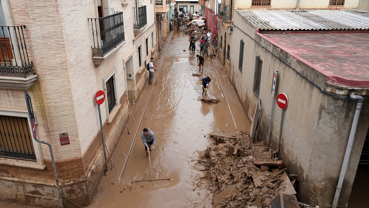 alert-–-spanish-flood-rescuers-are-hit-by-dizzying-headaches-due-to-stink-of-rotting-meat-and-dead-animals-as-they-continue-clear-up