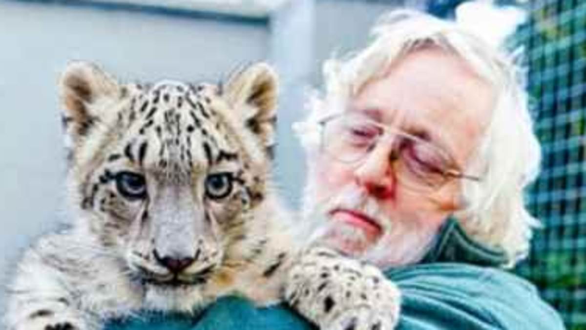 alert-–-britain’s-tiger-king-who-starred-in-hit-itv-show-is-mauled-by-a-13-stone-puma-at-his-own-sanctuary-and-airlifted-to-hospital