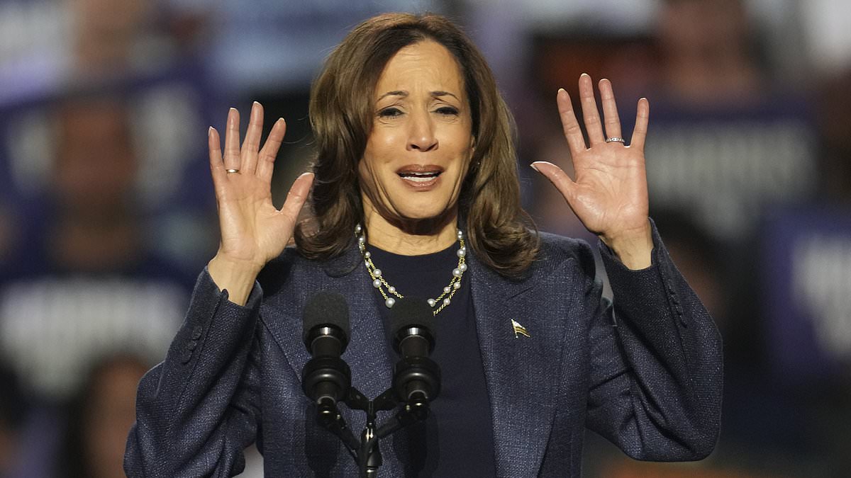 alert-–-i-worked-on-kamala-harris’s-campaign-–-and-this-is-why-it-turned-out-to-be-an-utter-shambles