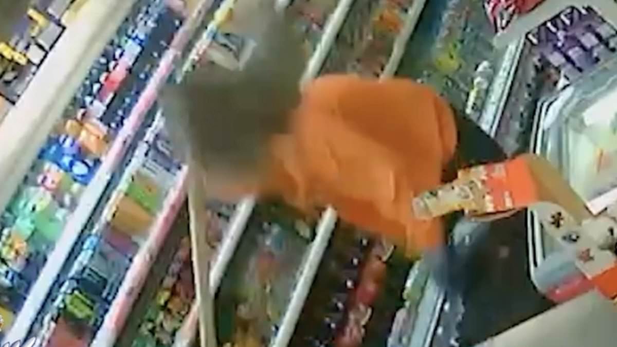 alert-–-terrifying-moment-shopkeeper-fights-off-knife-wielding-robber-with-a-mop-as-police-offer-reward-to-catch-culprit-after-string-of-raids